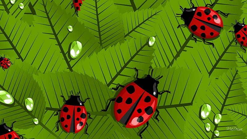 Happy Spring Ladybugs, fresh, dew, spring, ladybug, leaves, water, green, lady bugs, morning, HD wallpaper
