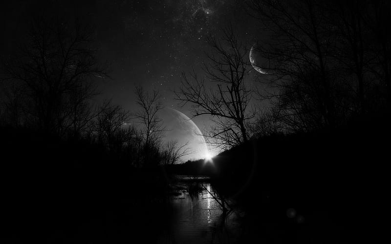 DARK NIGHT, pond, forest, moon, planet, black, white, HD wallpaper