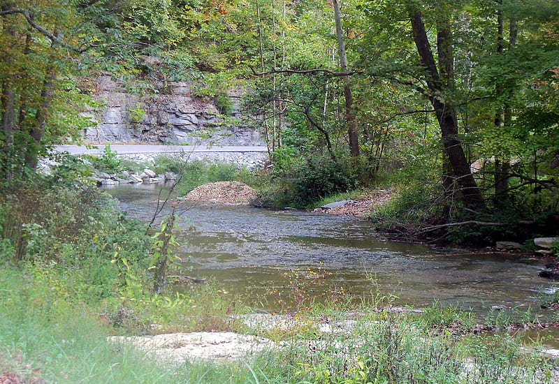 Poplar Creek, fall, nature, creek, rivers, HD wallpaper