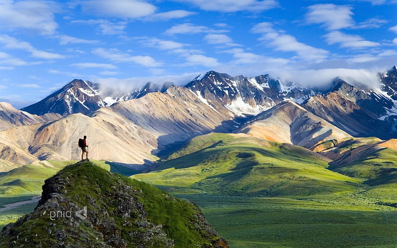 Denali National Park, nature, park, national-park, HD wallpaper