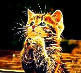 Cute 3D Cats cat 3d HD wallpaper  Pxfuel