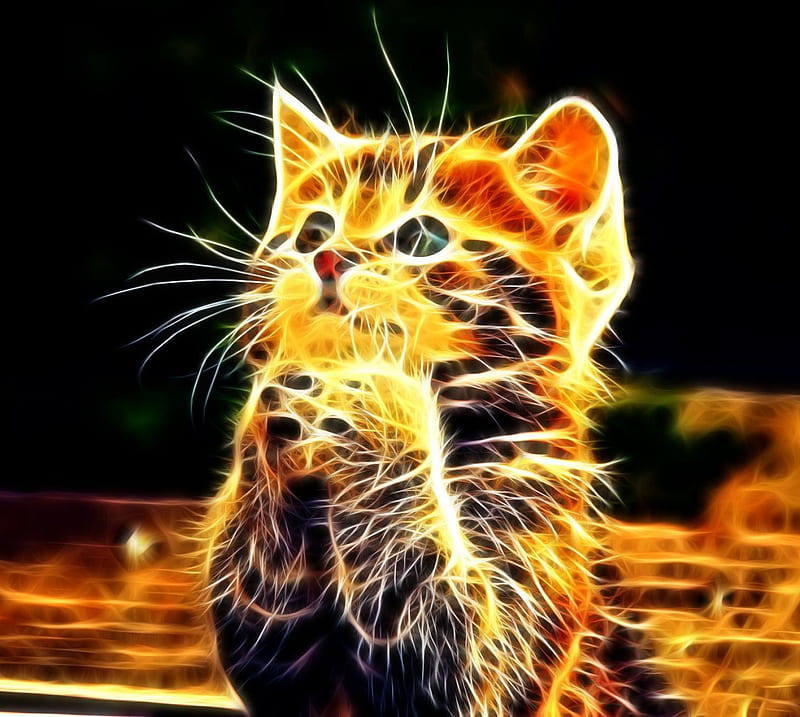  Gato 3D, 3d, animal, gato, lindo, gatito, Fondo de pantalla HD