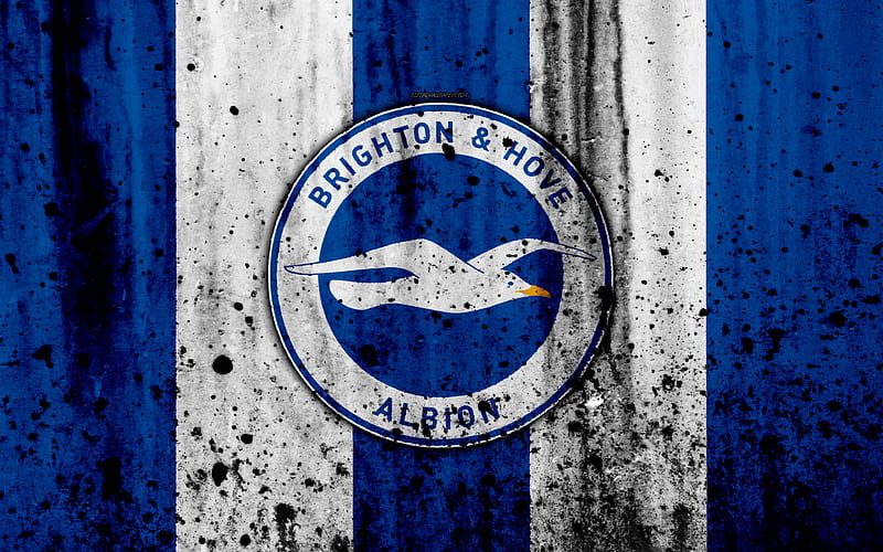 FC Brighton and Hove Albion Premier League, logo, England, soccer ...