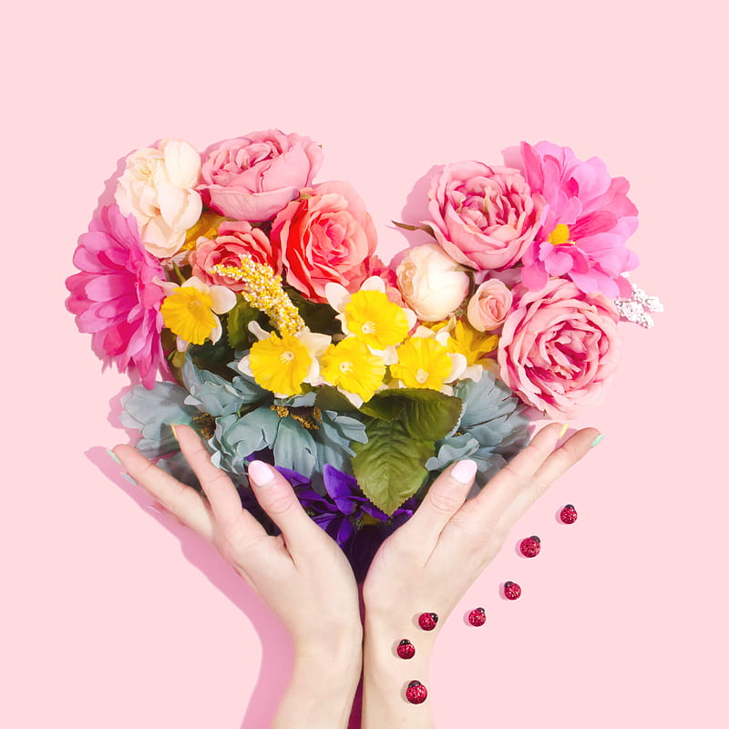 person holding bouquet of flower, HD phone wallpaper