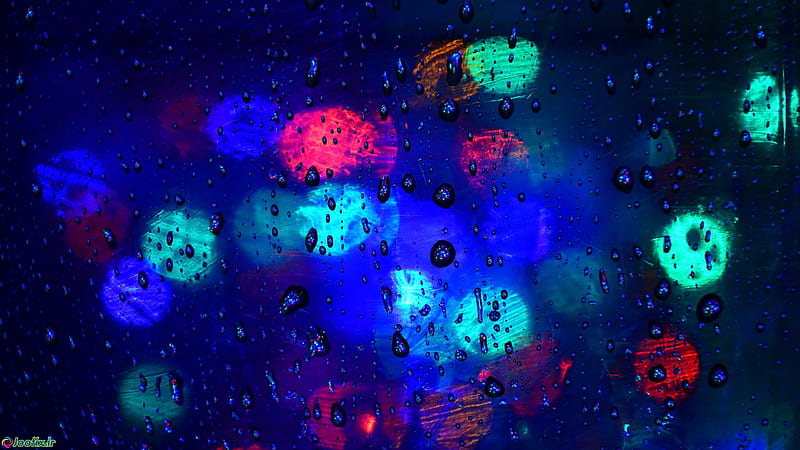 rain, rain, nature, HD wallpaper