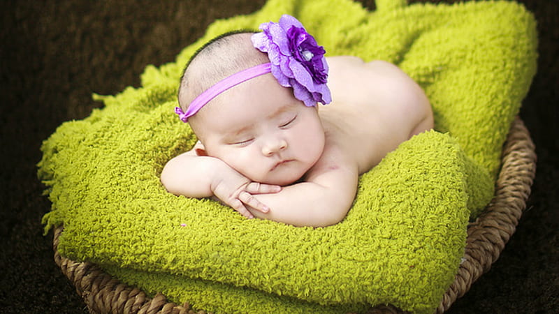Cute Child Baby Is Sleeping On Green Turkey Towel Having Purple Flower Headband Cute, HD wallpaper