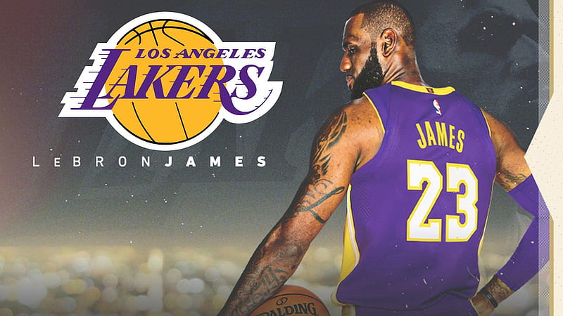 Lakers Lebron James Back Wearing Purple Sports Dress Having Basketball Sports, HD wallpaper