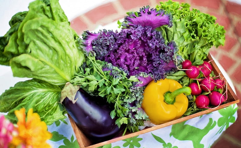 Vegetable Basket, delicious, food, basket, healthy, vegetable, salad, vegatablels, HD wallpaper