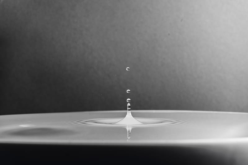 Water in Grayscale and Micro graphy, HD wallpaper