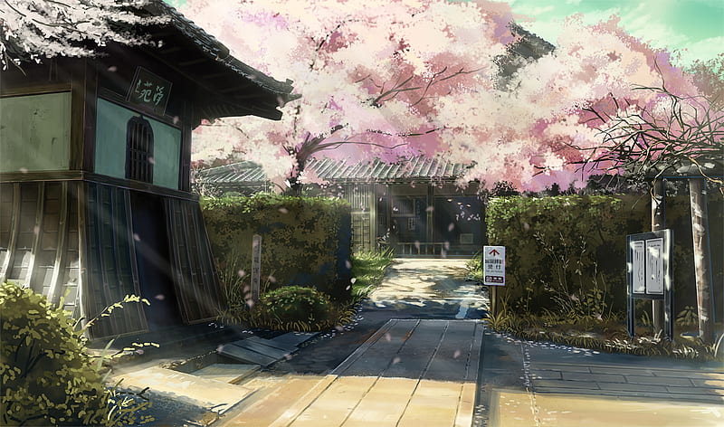 Cherry blossom, scenic, anime houses, sunlight, Anime, HD wallpaper | Peakpx