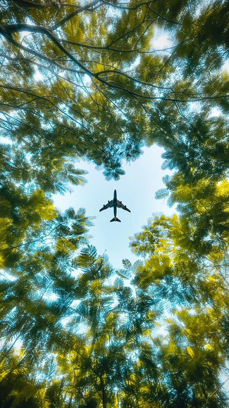 Aerial, airplane, blue sky, heart, nature, plane, trees, HD phone wallpaper