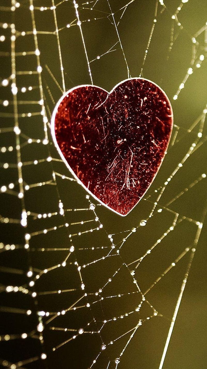 Love failure, heart, sad, web, HD phone wallpaper | Peakpx