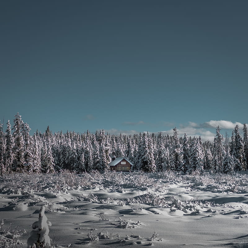 winter, house, snow, trees, horizon, sky, HD phone wallpaper