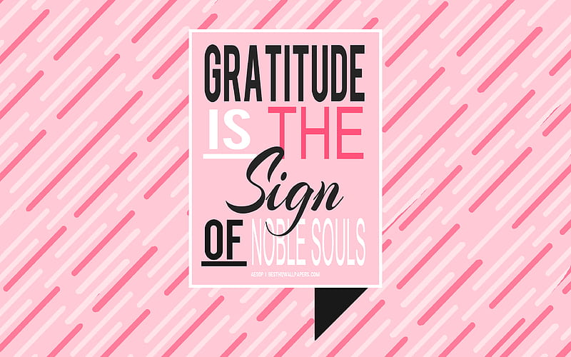 Gratitude is the sign of noble souls, Aesop quotes, pink background,  creative art, HD wallpaper | Peakpx