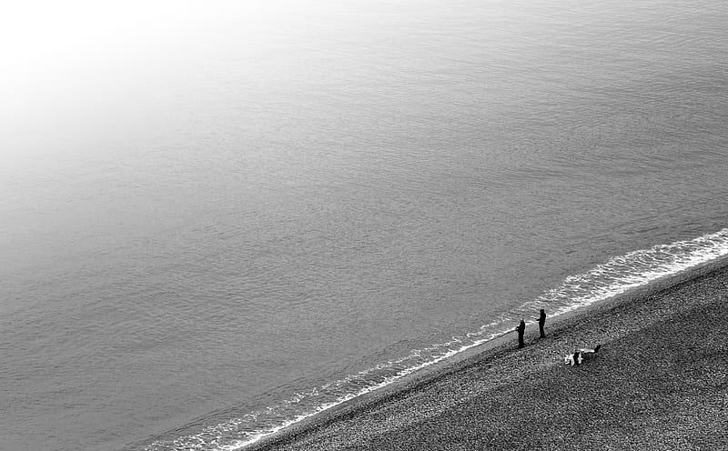 Grayscale of People Walking on the Beach, HD wallpaper