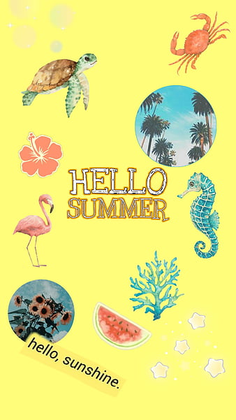 Hello summer summer season summer wallpaper summer time happy summer summer  day  CanStock
