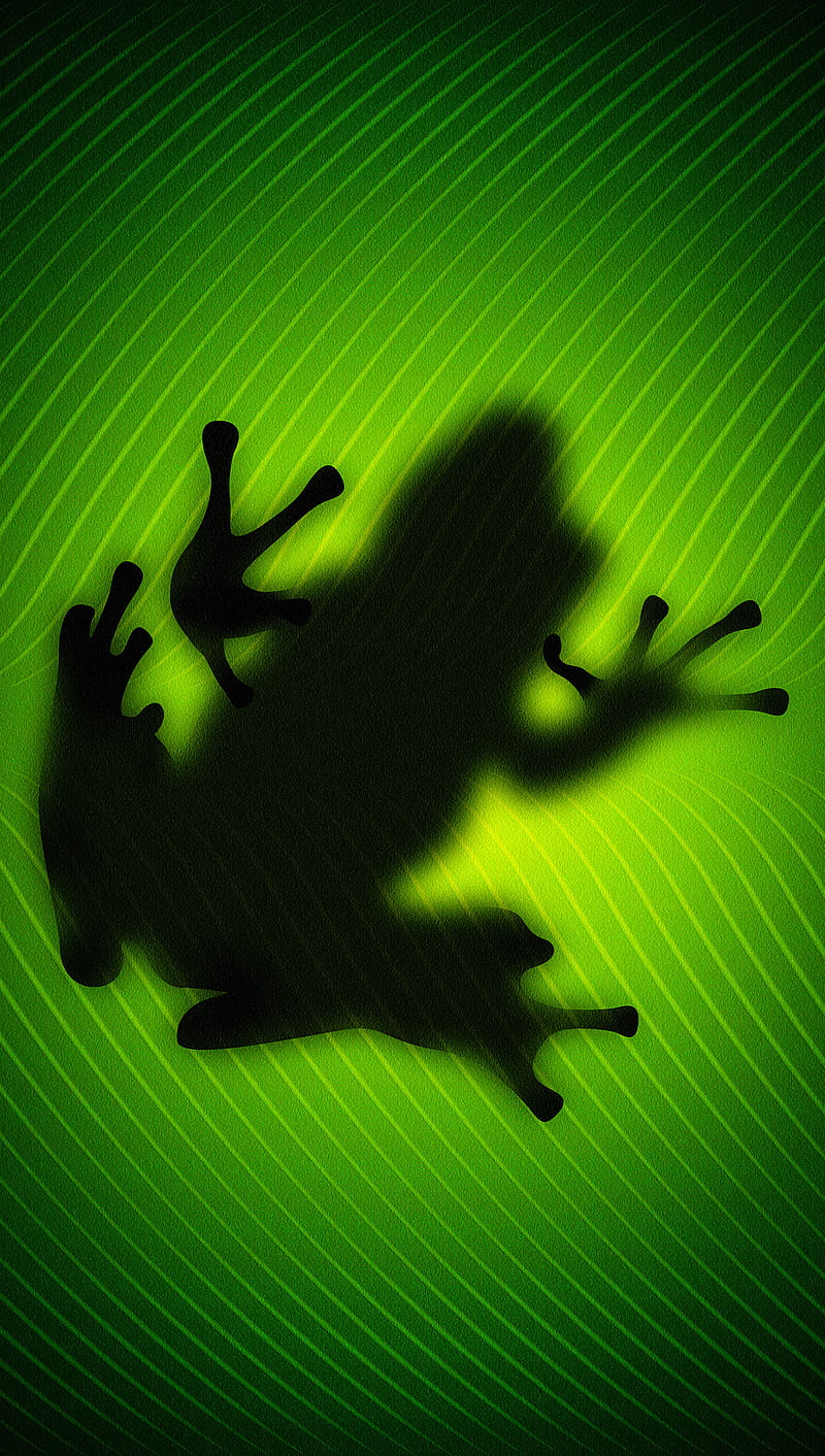 Frog, animals, cute, green, HD phone wallpaper