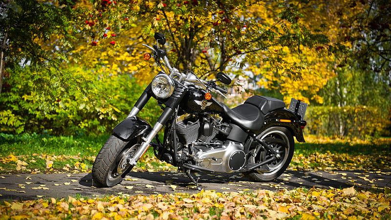 Harley Davidson Motorcycle 2, harley-davidson, bikes, HD wallpaper