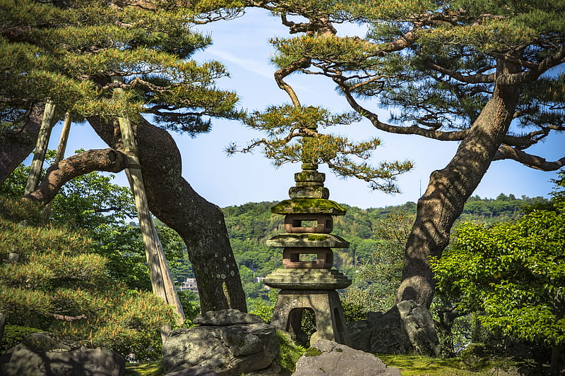 trees, forest, tower, sanctuary, architecture, HD wallpaper