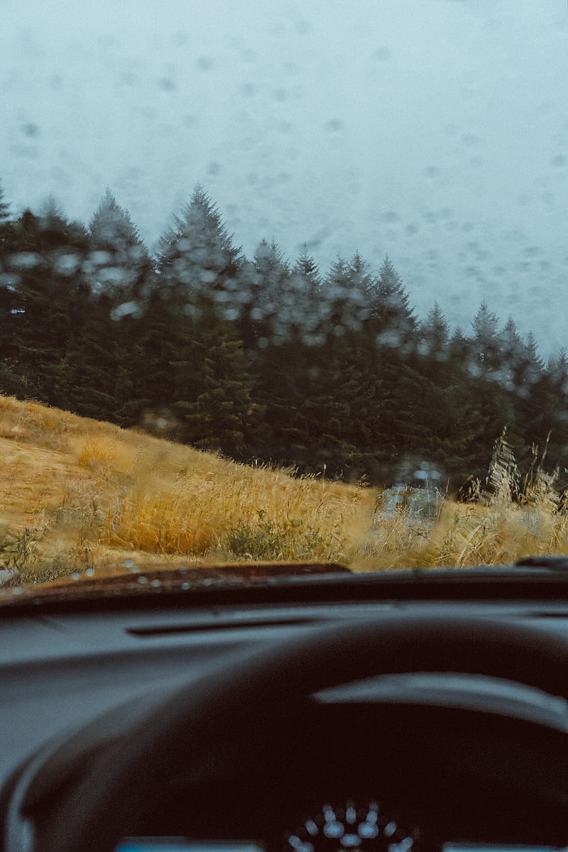 car, forest, view, glass, rain, HD phone wallpaper