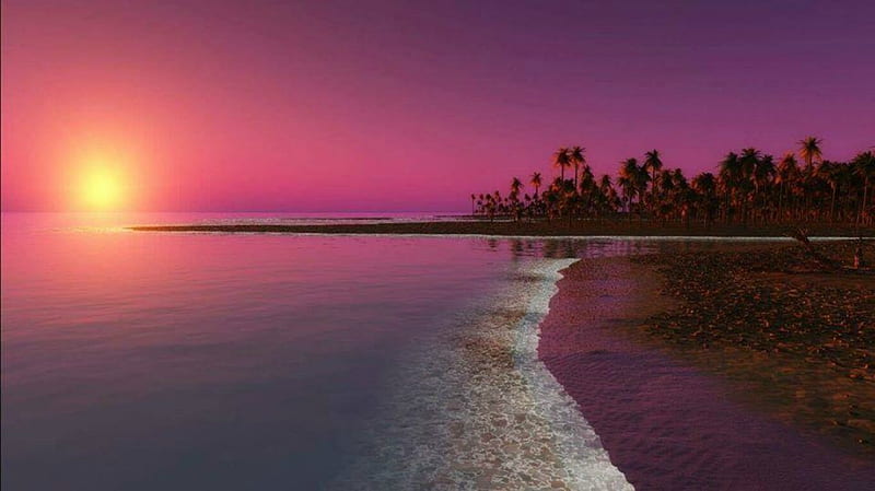 ☀️ Beautiful Sunset, Sun, arising, Sea, Reflection, Shore, Shining, HD wallpaper