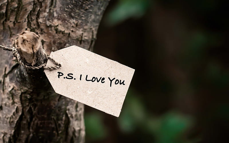 P.S. I Love You, message, tree, love, words, Gingerbread-heart, paper, declaration of love, HD wallpaper