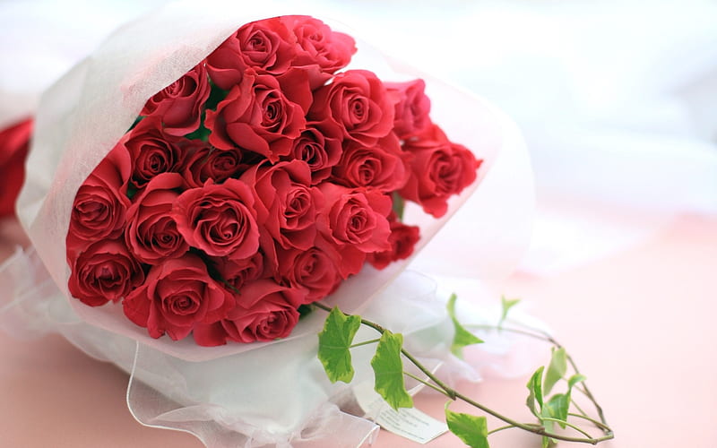 red roses, large bouquet of roses, background with roses, beautiful flowers, roses, HD wallpaper