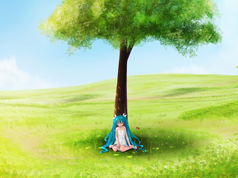 Wallpaper Field, Anime Scenery, Grass, Trees, School, Sky, Clouds -  Resolution:2667x1500 - Wallpx