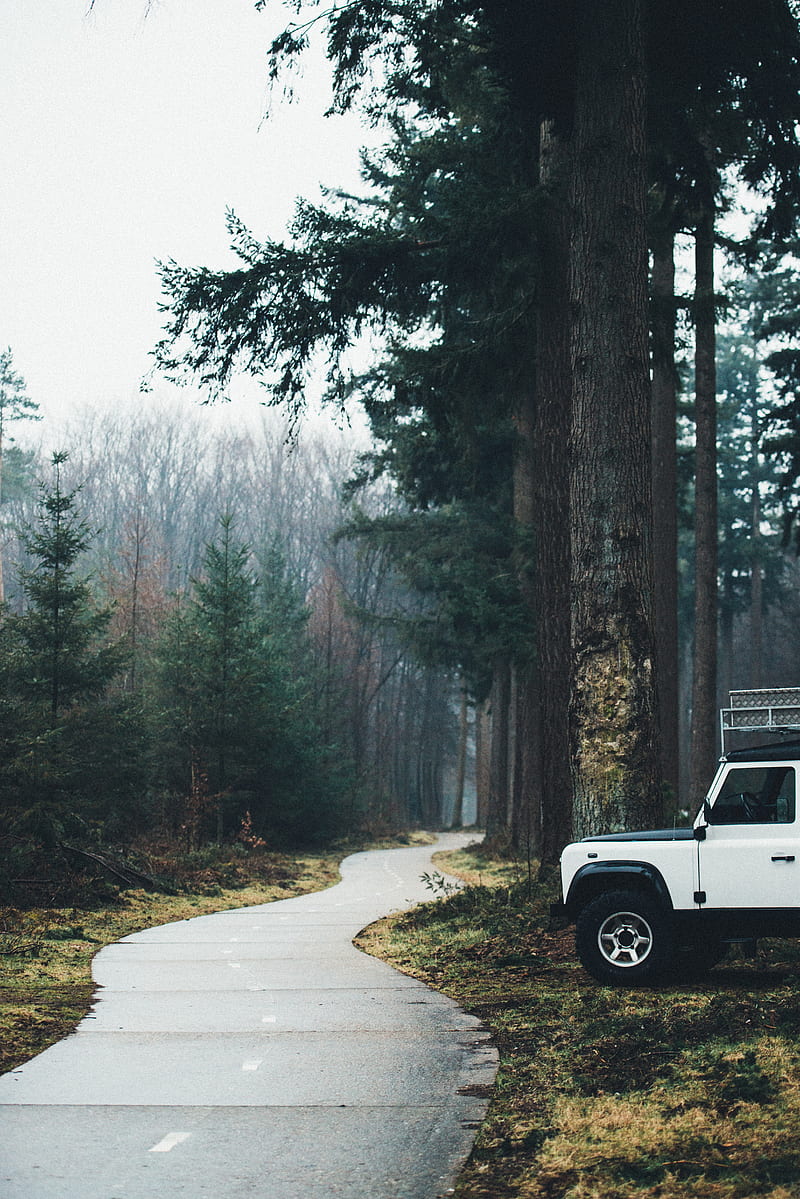 car, suv, white, road, forest, HD phone wallpaper