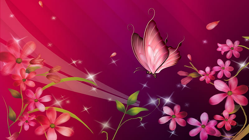 Delicate Floral, shine, magenta, spring, delicate, dainty, floral, butterfly, flowing, summer, flowers, pink, Firefox Persona theme, HD wallpaper