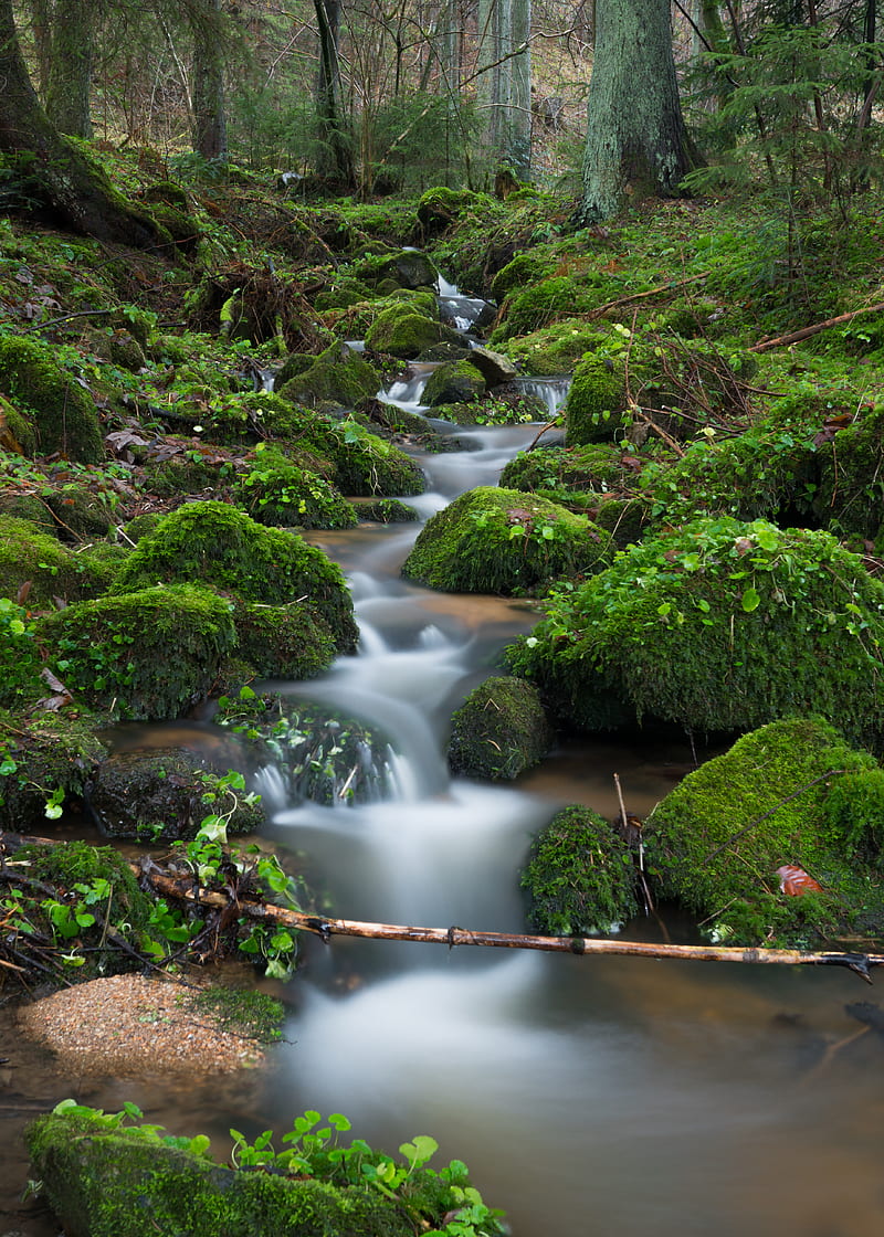 Austrian small river, river, water, waterfall, longexposure, green, grass, moss, forest, jungle, HD phone wallpaper