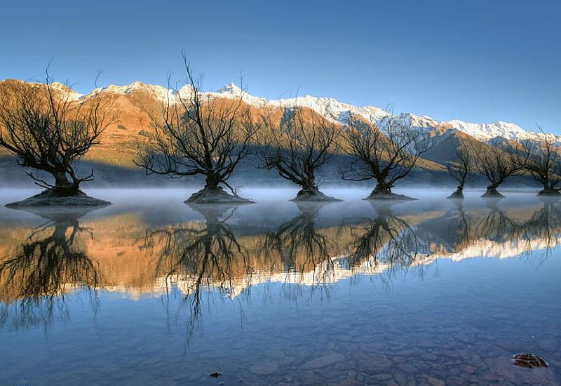Lake Wakatipu, New Zealand, mountains, reflection, trees, ater, sky, HD wallpaper