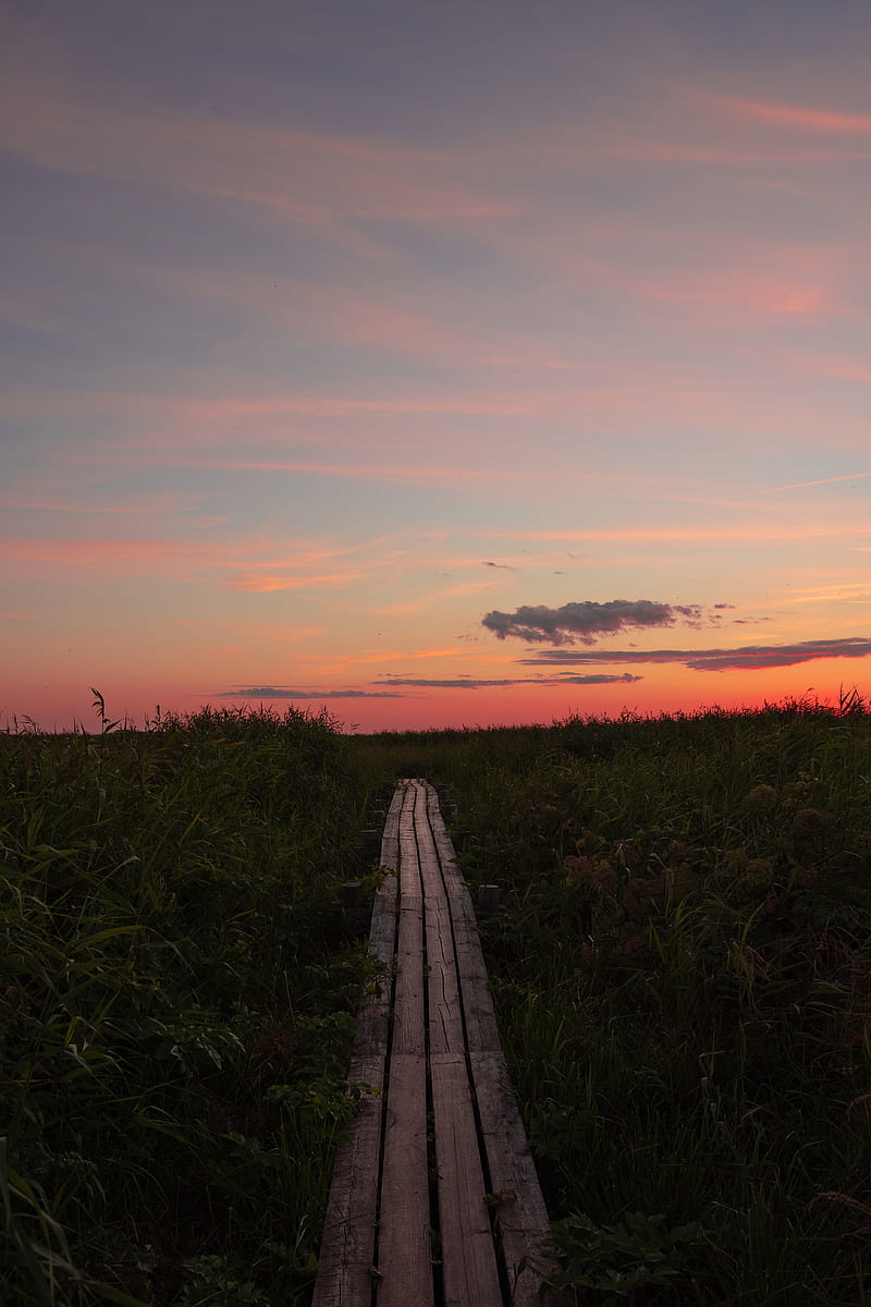 path, grass, sunset, horizon, clouds, HD phone wallpaper