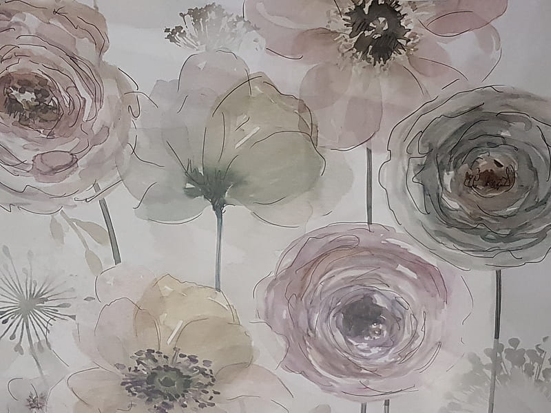 Watercolour Flowers, floral, nature, painting, pink, watercolours, HD wallpaper