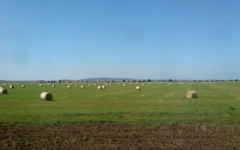 Straw Bales, blue sky, czech republic, straw bale, field, HD wallpaper
