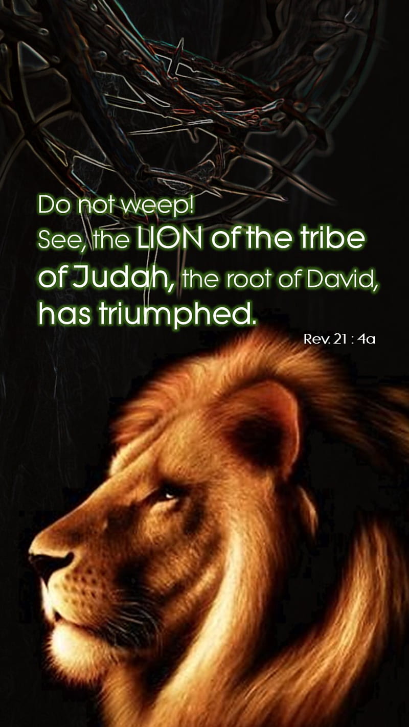Lion of Judah, bible, christian, HD phone wallpaper