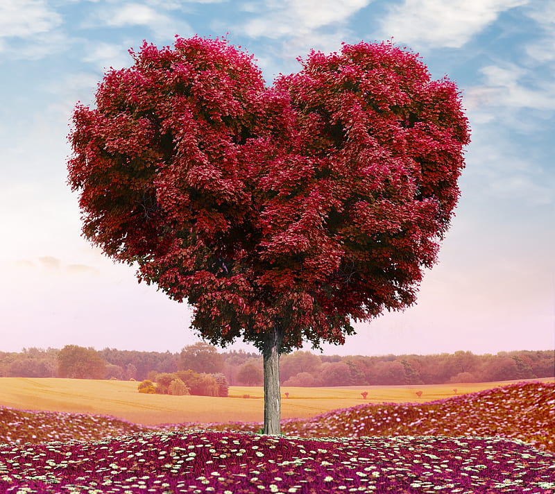 Tree, heart, heart shape tree, love, red, romance, HD wallpaper