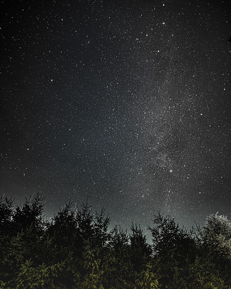 night, trees, starry sky, dark, space, HD phone wallpaper