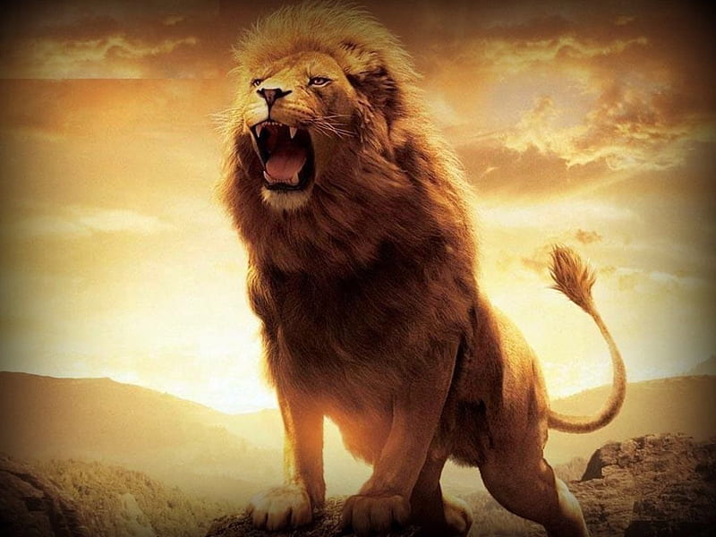 Hear My Roar, Cats, Digital, Roar, Art, Lions, Animals, HD wallpaper |  Peakpx