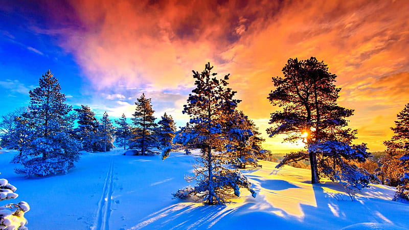 hd wallpapers nature winter