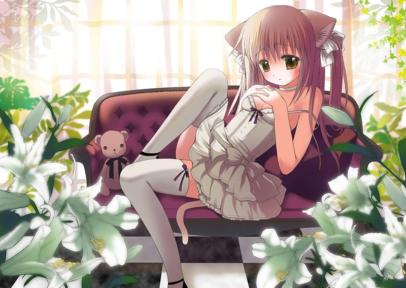 Nervous Neko Girl, stockings, neko, anime, ears, flowers, white dress, teddy bear, white bows, HD wallpaper