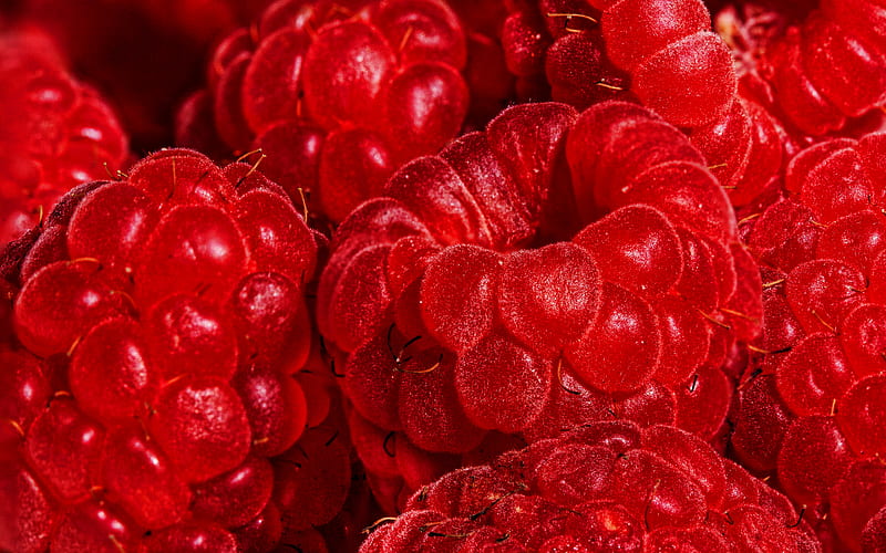 raspberries, macro, berries, food textures, fresh fruits, fresh berries, HD wallpaper