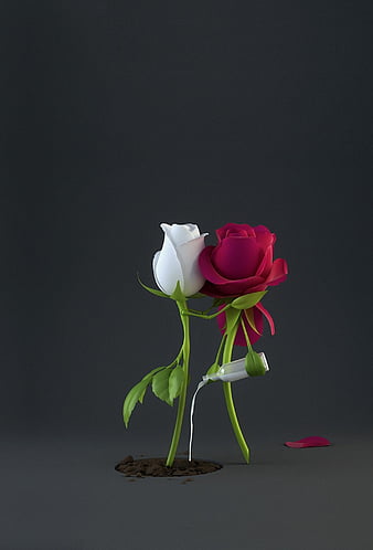 love, flower, roses, sweetest, tenderness, feelings, HD phone wallpaper