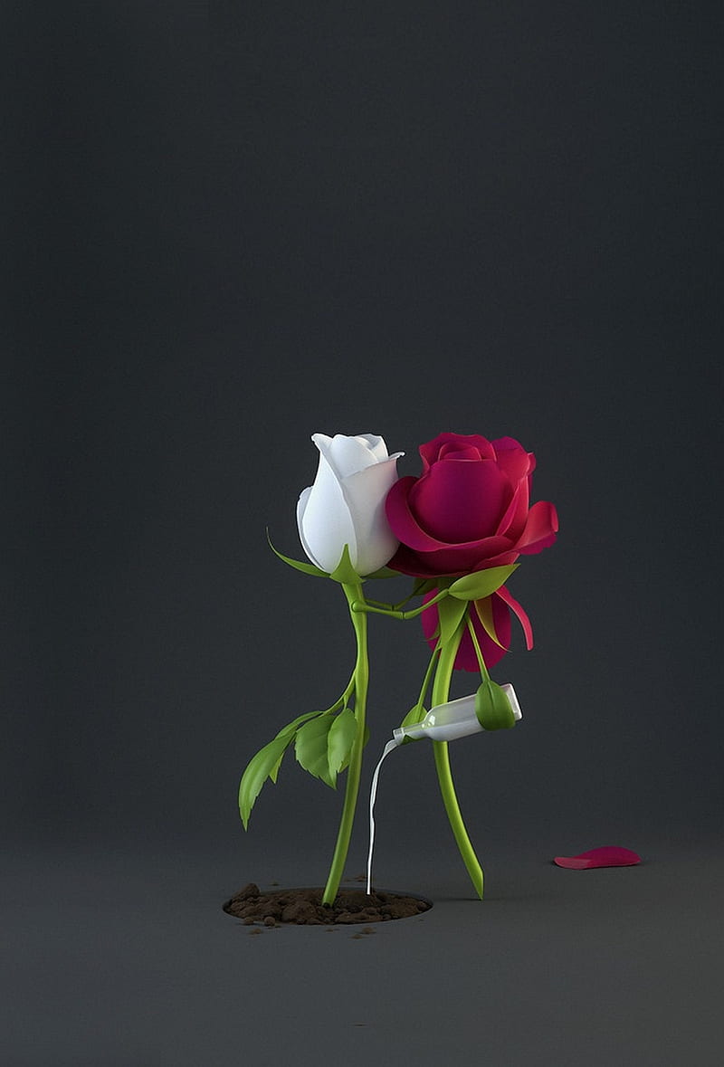 Love, flower, roses, sweetest, tenderness, feelings, HD phone wallpaper |  Peakpx