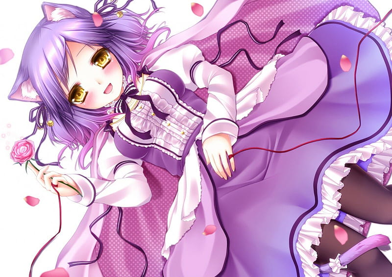 Purple Eyes Anime Girl With White Dress Sitting Near Black Cat 4K HD Anime  Girl Wallpapers  HD Wallpapers  ID 95906
