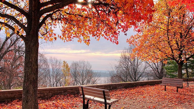 Beautiful autumn morning, stunning, orange, clouds, beautiful day, nice,  splendor, HD wallpaper | Peakpx