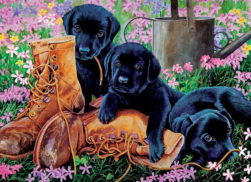 Black lab puppies, art, boots, black, adorable, carpet, freshness, sweet, cute, puppies, painting, flowers, nature, labradors, field, friends, meadow, HD wallpaper