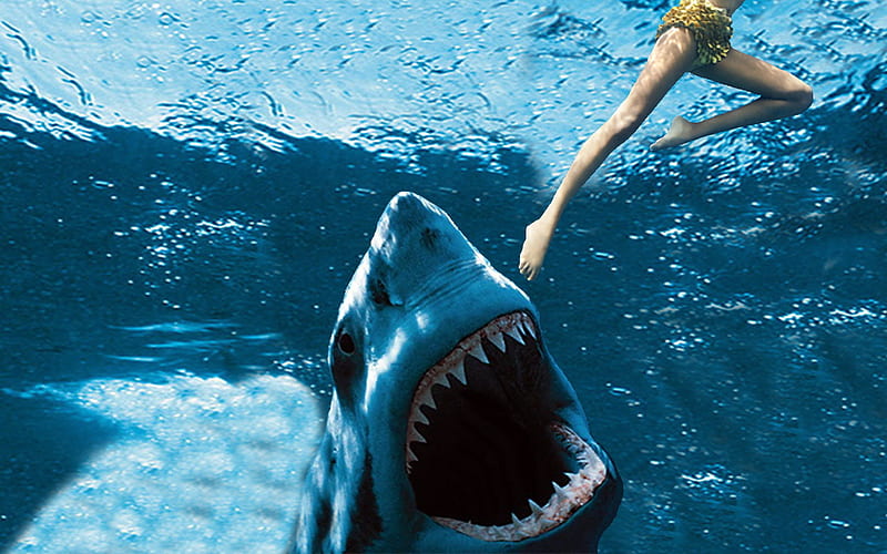 Watch Out!, shark, scary, swimmer, ocean, HD wallpaper