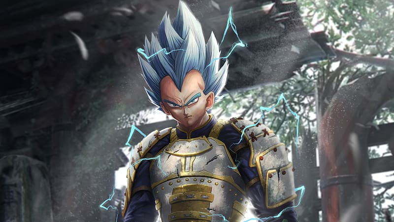 Vegeta..  Dragon ball art, Dragon ball artwork, Anime dragon ball