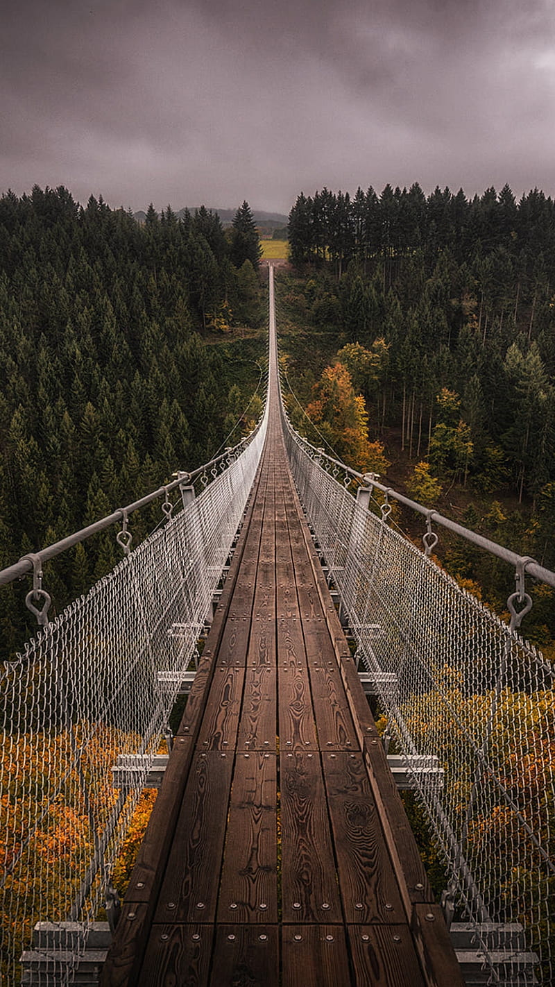 Long bridge, amazing, cloudy, jungle, nature, trees, wooden, wooden bridge, HD phone wallpaper